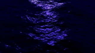 Animated Video Maker, Star, Sea, Ocean, Celestial Body, Water