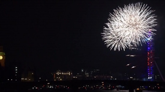 Free Animated Motion Backgrounds, Sea Urchin, Echinoderm, Fireworks, Night, Invertebrate