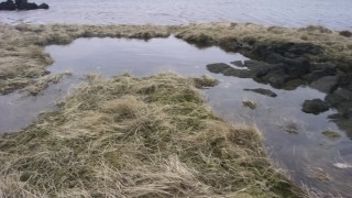 Free Background Video Clips, Ocean, Landscape, Dune, Water, Sea