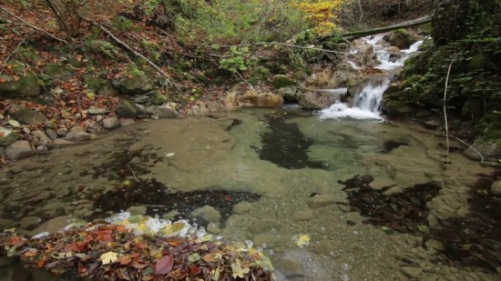 Free Backs In Motion, River, Stream, Water, Channel, Rock