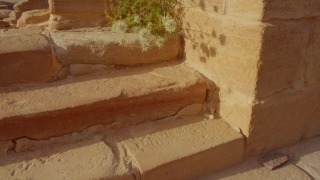 Free Lion Stock Footage, Brick, Building Material, Bread, Food, Old