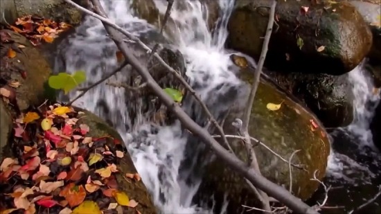 Free Loop Video, Waterfall, River, Water, Stream, Rock