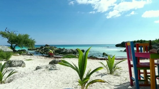 Free Motion Background, Beach, Sand, Ocean, Sea, Tropical