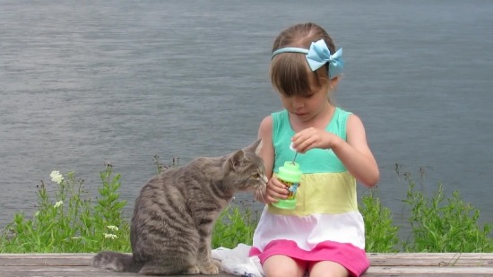 Free Multimedia Backgrounds, Beach, Child, Sea, Summer, Cat