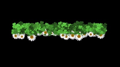 Free No Copyright Bgm For Youtube, Daisy, Flower, Plant, Summer, Spring