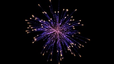 Free Portrait Stock Footage, Sea Urchin, Echinoderm, Invertebrate, Night, Fireworks