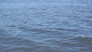 Free Video Background Animation, Ocean, Body Of Water, Sea, Water, Sky