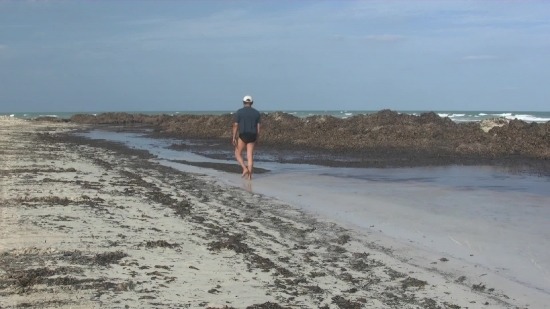 Free Video Background In Powerpoint, Beach, Sandbar, Sea, Sand, Bar