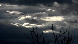 Free Video Editing Background, Sky, Atmosphere, Tree, Clouds, Sun