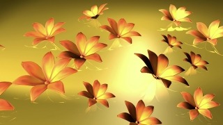 Hd Background Loops, Maple, Island, Floral, Design, Decoration