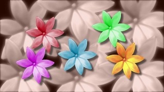 Hd Video Clips, Island, Decoration, Flower, Ribbon, Bow