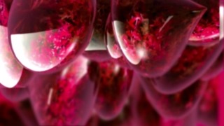 Stock Video Effects, Shrub, Raspberry, Berry, Petal, Woody Plant