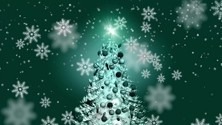 Video Clips Website, Fir, Snow, Winter, Snowflake, Decoration