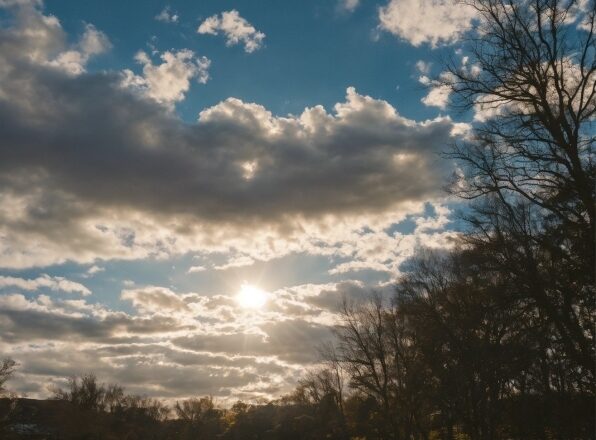 Cloud, Sky, Plant, Atmosphere, Daytime, Ecoregion