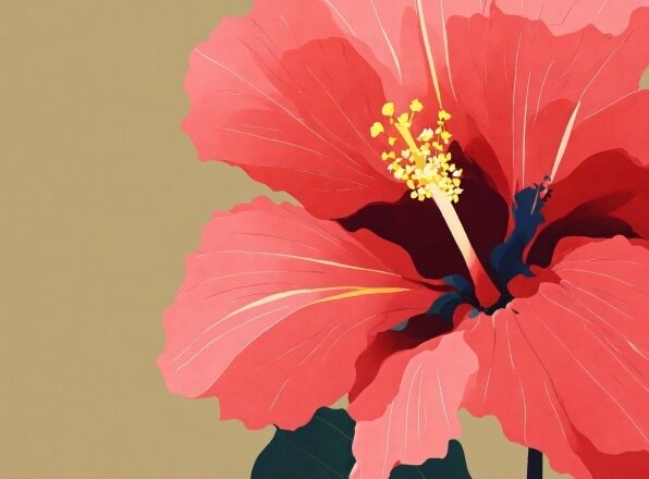 Flower, Plant, Petal, Hawaiian Hibiscus, Chinese Hibiscus, Flowering Plant