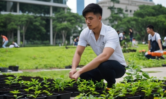 Plant, People In Nature, Green, Leaf, Botany, Grass