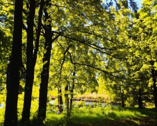 Plant, People In Nature, Natural Environment, Natural Landscape, Tree, Branch