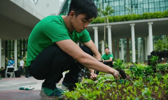 Plant, Shoe, Shorts, Vertebrate, People In Nature, Sneakers