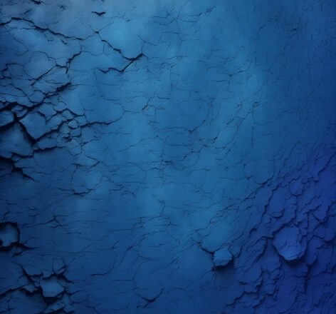 Water, Liquid, Sky, Blue, Plant, Branch