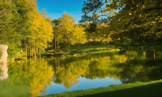 Water, Plant, Water Resources, Sky, Tree, Natural Landscape