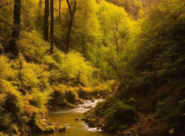 Water, Sky, Ecoregion, Plant, Fluvial Landforms Of Streams, Natural Environment