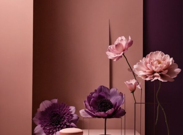 Flower, Plant, Table, Purple, Petal, Vase