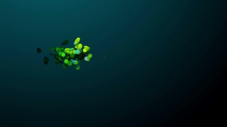 Free Background For Intro, Light, Design, Clover, Glow, Shiny