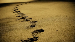 Free Best Stock Footage, Sand, Soil, Earth, Beach, Sea