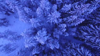 Free Best Video Background, Ice, Crystal, Negative, Pattern, Texture