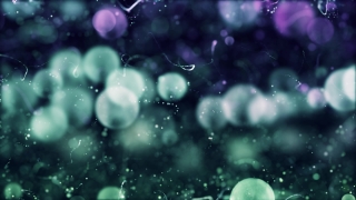 Free Business Stock Video, Light, Glow, Wallpaper, Jellyfish, Design