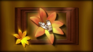 Free Easy Worship Moving Backgrounds, Flower, Petal, Spa, Yellow, Floral