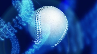 Free Motion Graphic Backgrounds, Invertebrate, Coelenterate, Jellyfish, Animal, Baseball