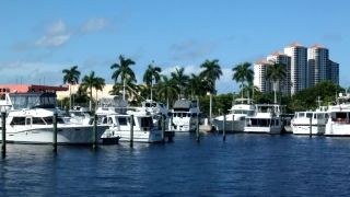 Free No Copyright Video Background, Marina, Boat, Sea, Water, Harbor