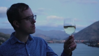 Free No Copyright Video Loops, Wine, Wineglass, Man, Portrait, Glass