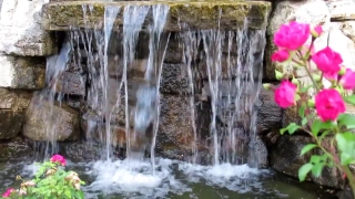 Free Stock Film, Waterfall, River, Stream, Water, Rock