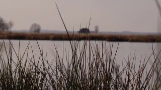 Free Stock Footage With Audio, Sky, Water, Boat, Landscape, Summer