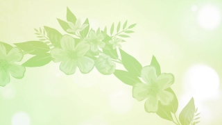 Free Stock Videos With Sound, Floral, Clover, Flower, Leaf, Spring