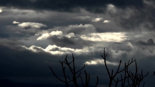 Free  Video Background, Sky, Atmosphere, Tree, Clouds, Sun