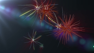 Free Video Backgrounds For Websites, Firework, Explosive, Fireworks, Night, Festival