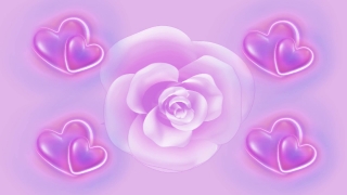 Free Video Content For Your Website, Lilac, Pink, Flower, Art, Rose