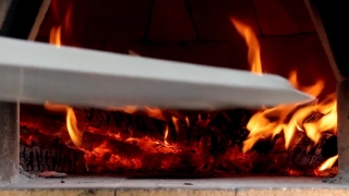 Free Video Grabber, Barbecue, Fire, Fireplace, Flame, Heat