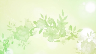 Free Video Subscription, Floral, Clover, Design, Art, Leaf