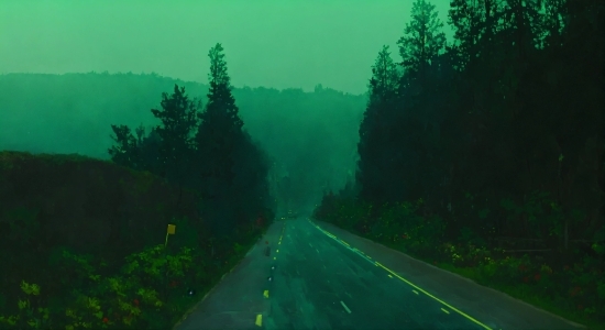 Plant, Sky, Ecoregion, Green, Natural Landscape, Road Surface