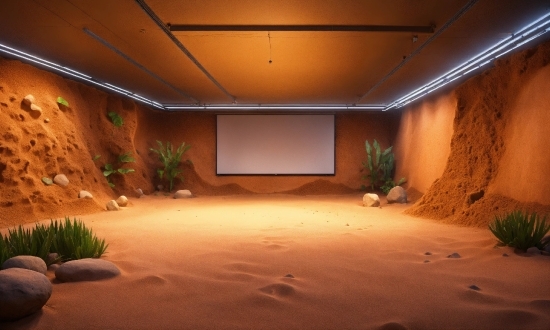 Poly Ai, Plant, Lighting, Flooring, Floor, Landscape