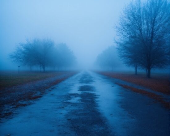 Sky, Atmosphere, Cloud, Plant, Natural Landscape, Road Surface