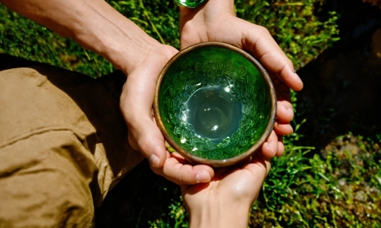 Stock Download, Hand, Finger, Gesture, Plant, Thumb