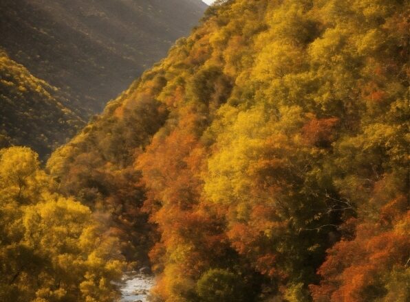 Vimeo Free Stock Video, Sky, Cloud, Mountain, Plant, Natural Landscape