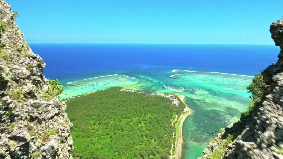 Animal Green Screen Video Download, Beach, Coast, Sea, Ocean, Water