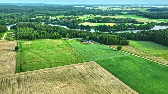 Banner Background Video Download, Rice, Landscape, Field, Grain, Rural