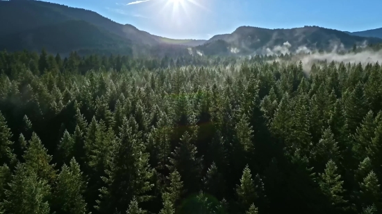 Birthday Background Video For Kinemaster, Range, Mountain, Landscape, Mountains, Tree